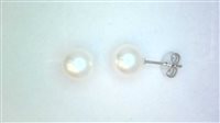 Orecchini Ticchi Maurizio Donna Perle in Oro bianco Perla OB00114 - OB00114